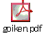 goiken.pdf