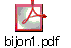 bijon1.pdf