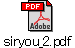 siryou_2.pdf