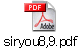 siryou8,9.pdf