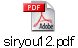 siryou12.pdf