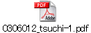 0306012_tsuchi-1.pdf