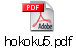 hokoku5.pdf