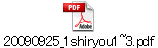 20090925_1shiryou1~3.pdf