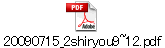 20090715_2shiryou9~12.pdf